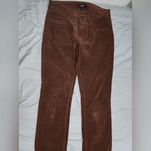 Brown Corduroy Pants